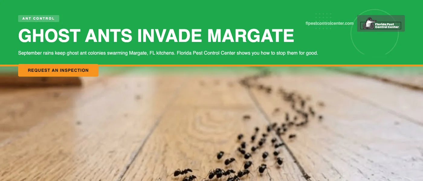 Ghost Ants in Margate, FL: Why September Rains Keep Infestations Going