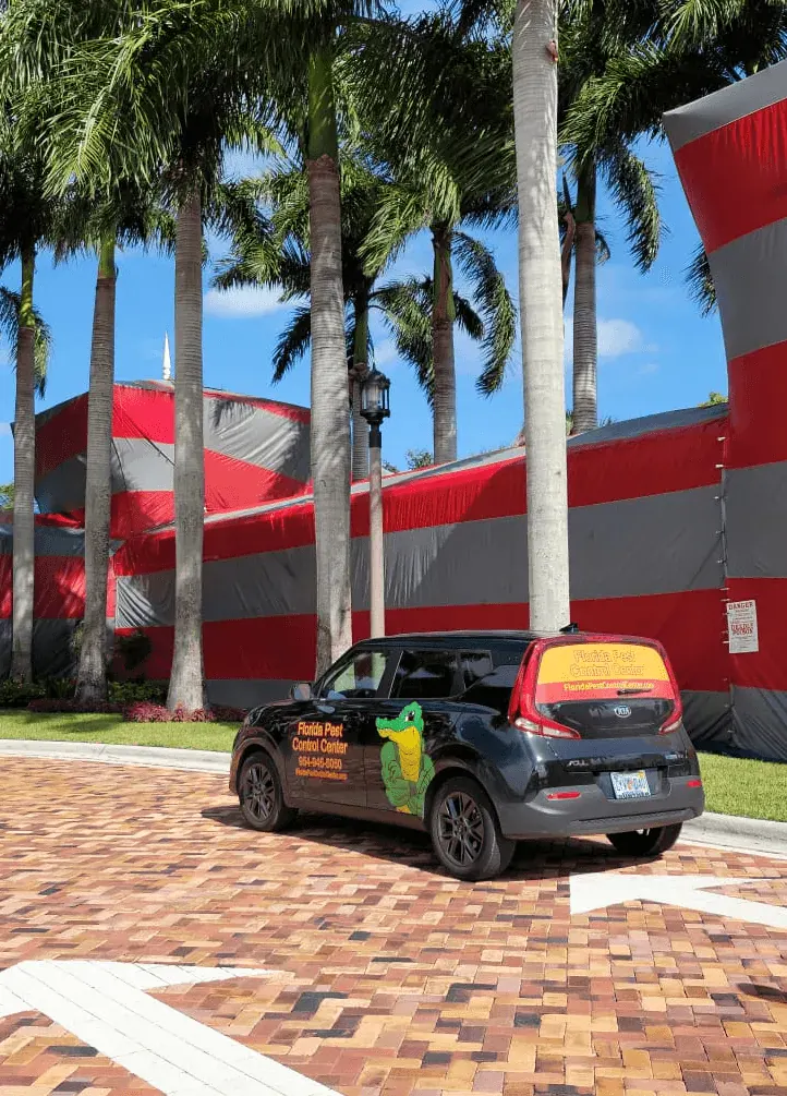 South Florida termite control specialists.