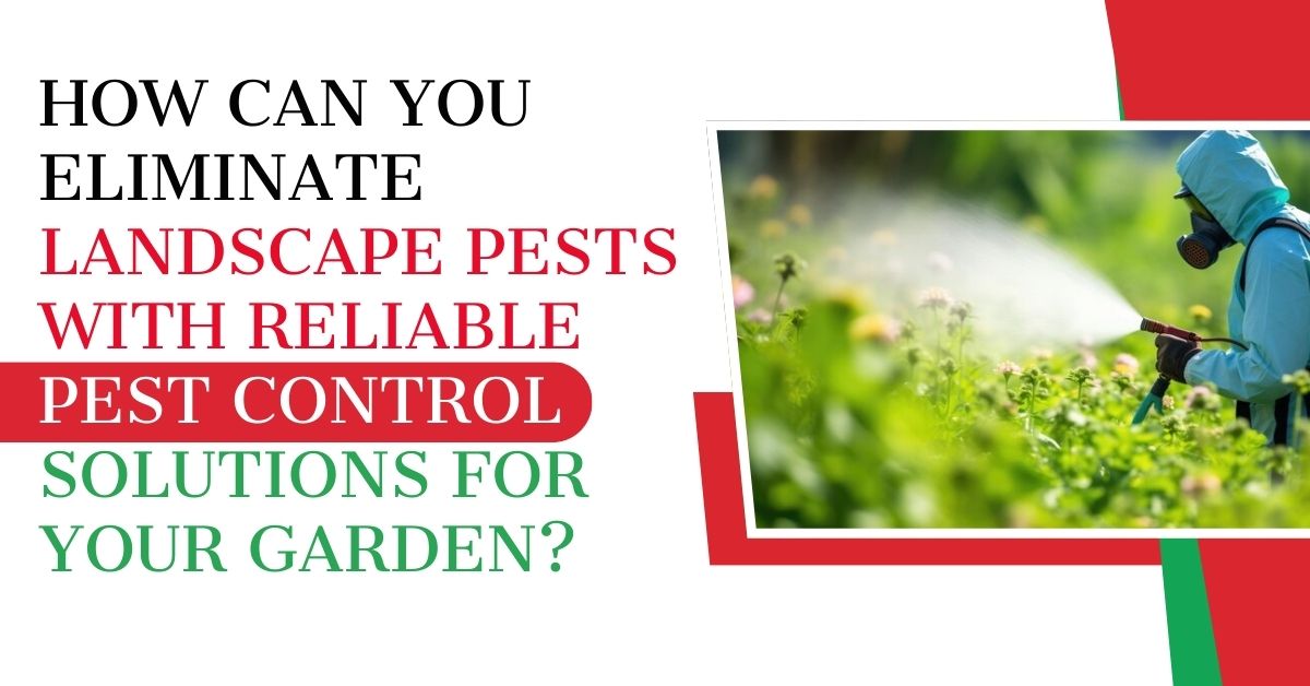 Eliminate Landscape Pests with Reliable Pest Control