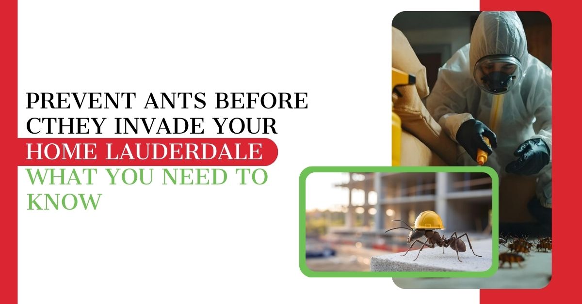 Prevent Ants Before They Invade Your Home