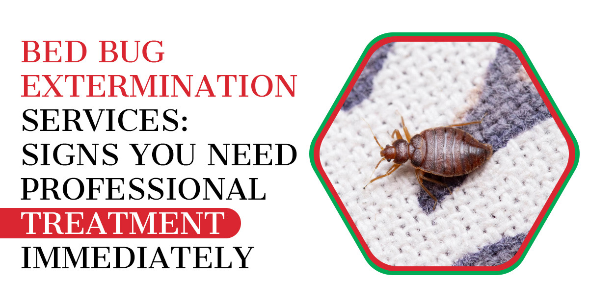 Bed Bug Extermination: Signs You Need Treatment Now